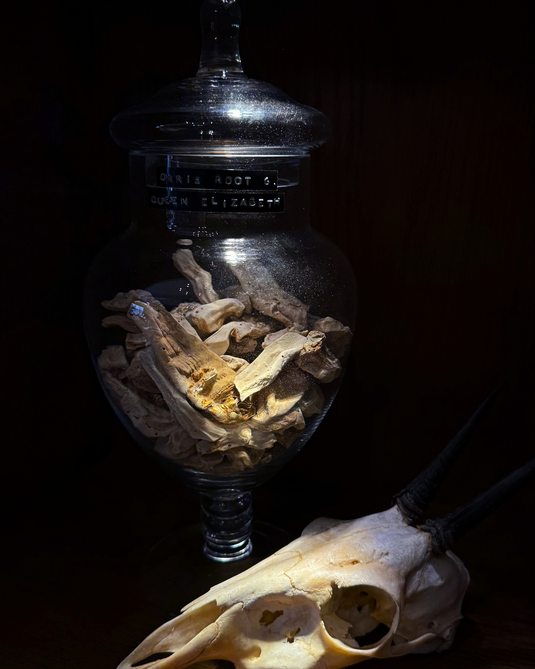 Whole Orris Root