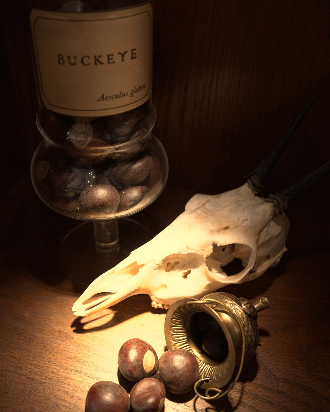 Buckeyes