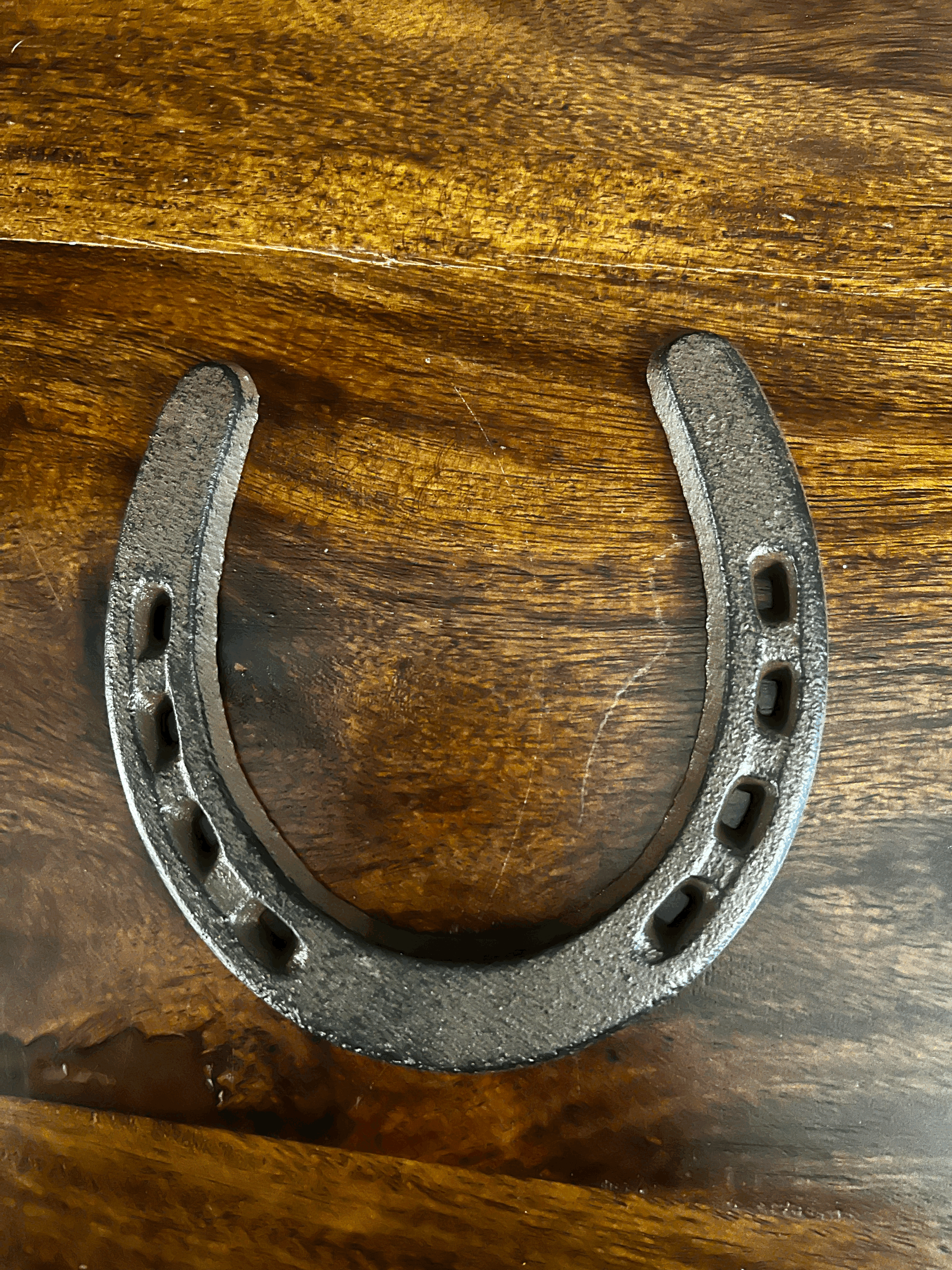 Iron Horseshoe