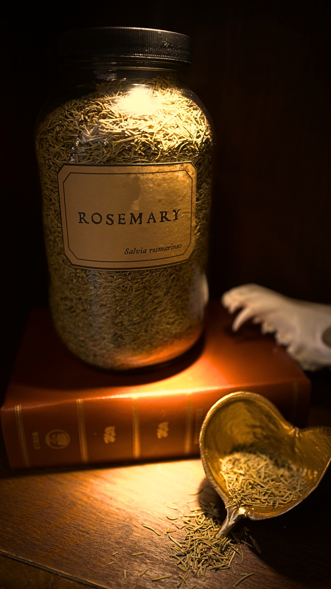 Rosemary