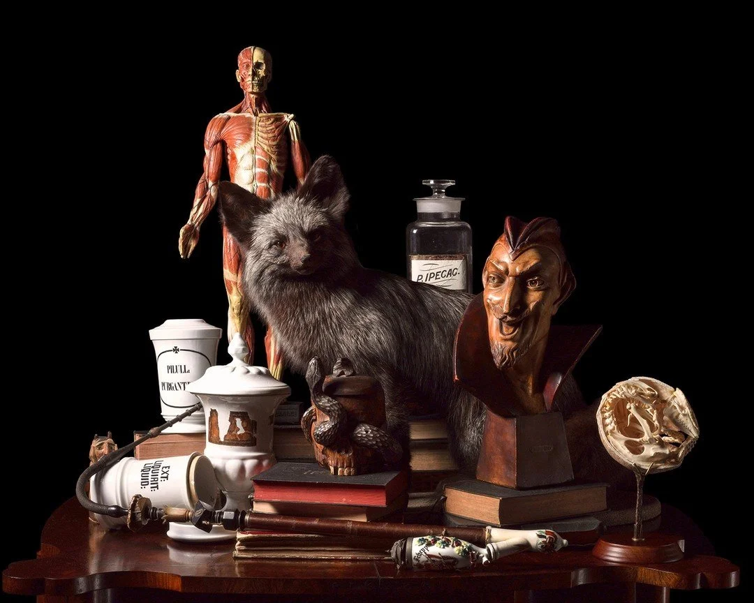 'Apotheca' - Fine Art Print