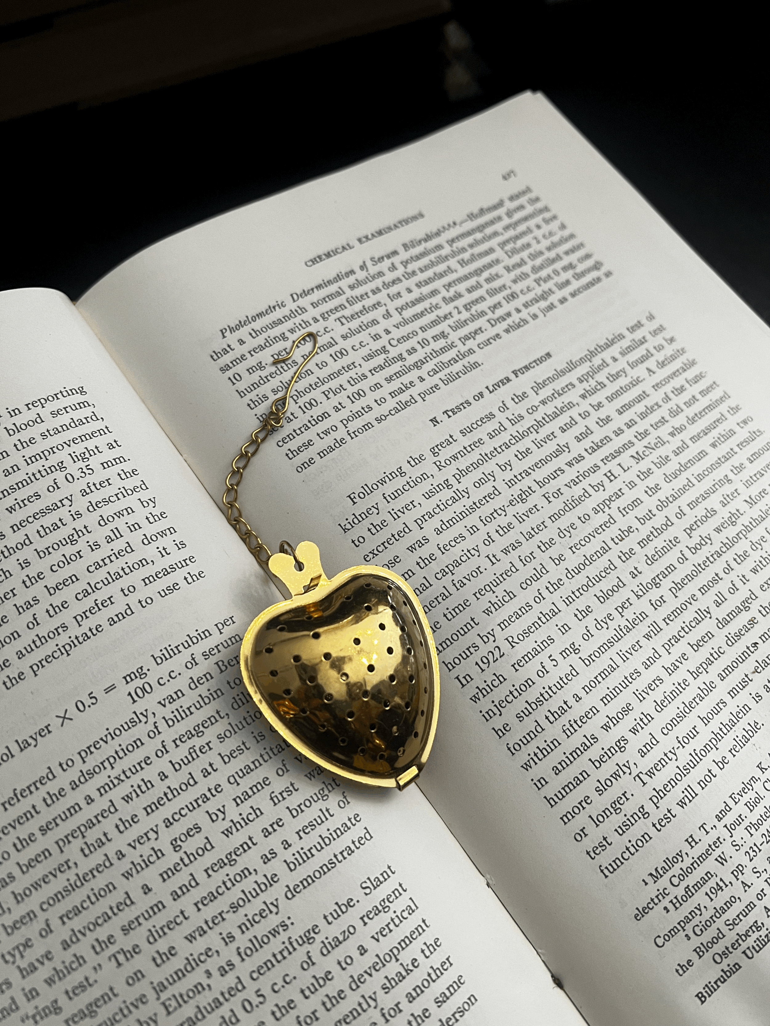 Heart Shaped Tea Gold Tea Infuser w Chain