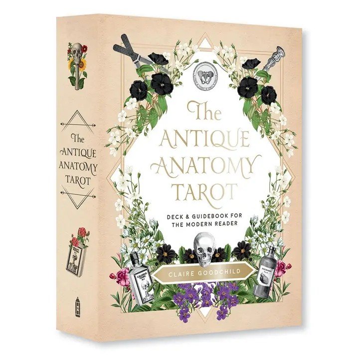 Antique Anatomy Tarot Kit