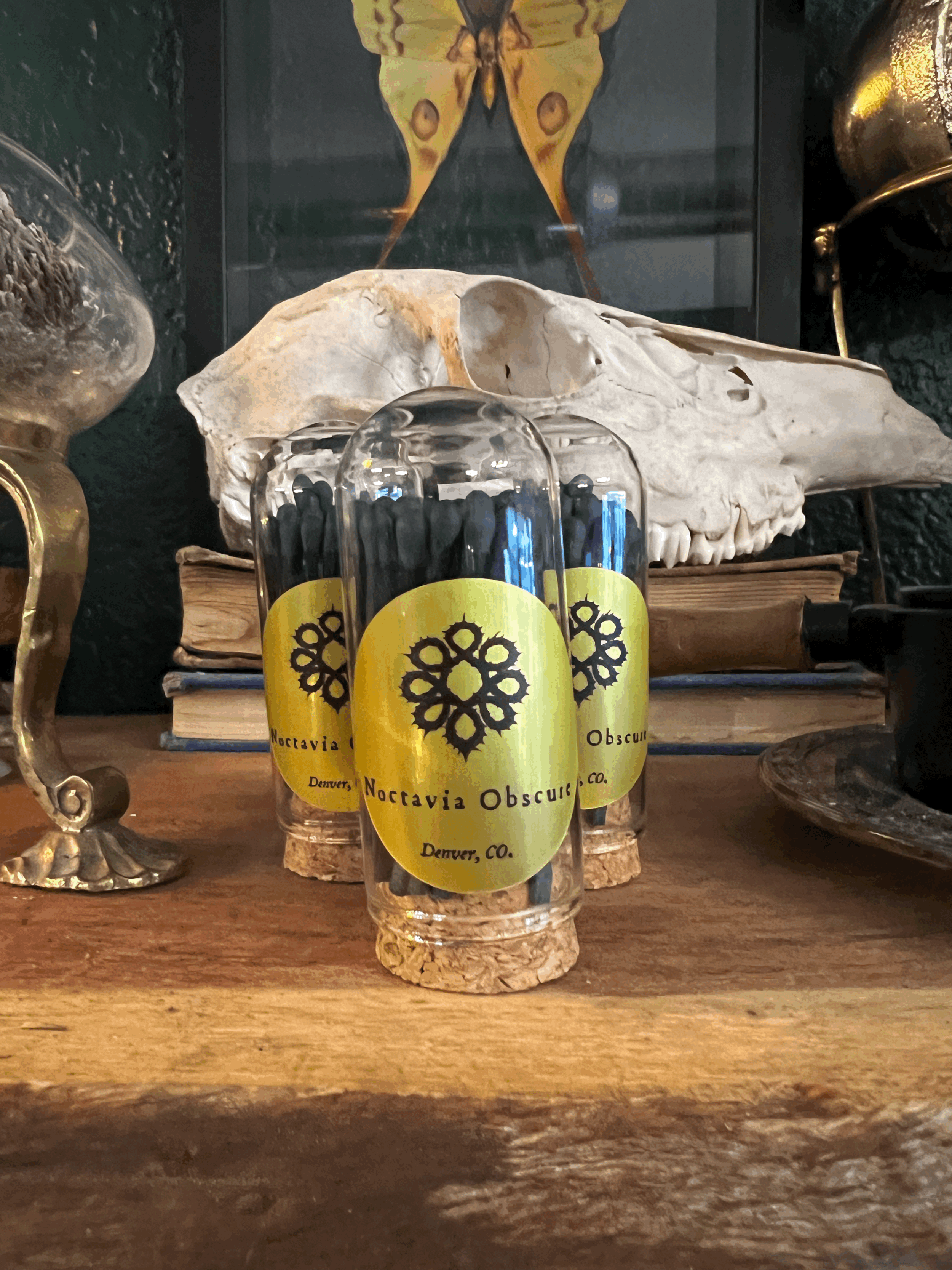 Black Matches in Cloche Jar