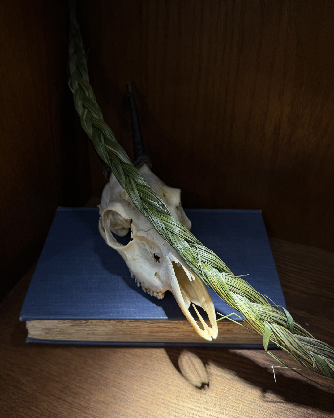Sweetgrass Braid