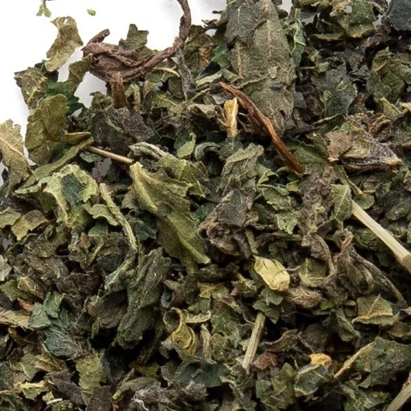 Nettle Leaf