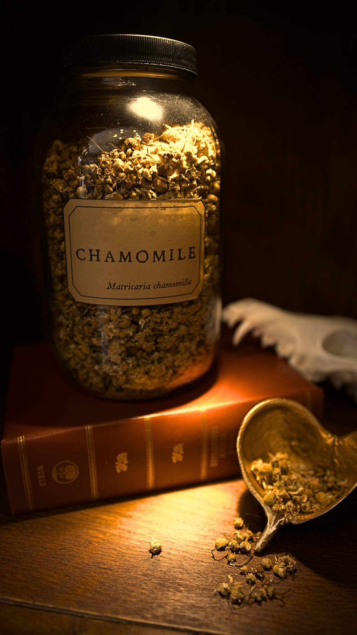 Chamomile