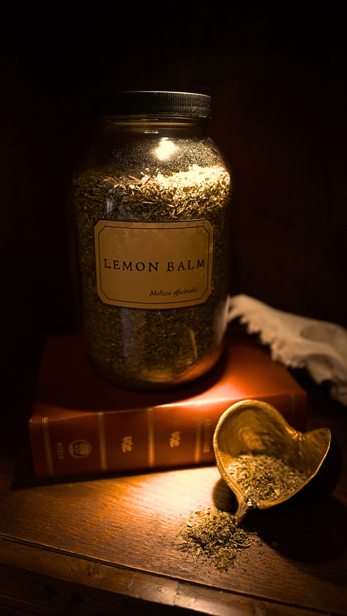 Lemon Balm