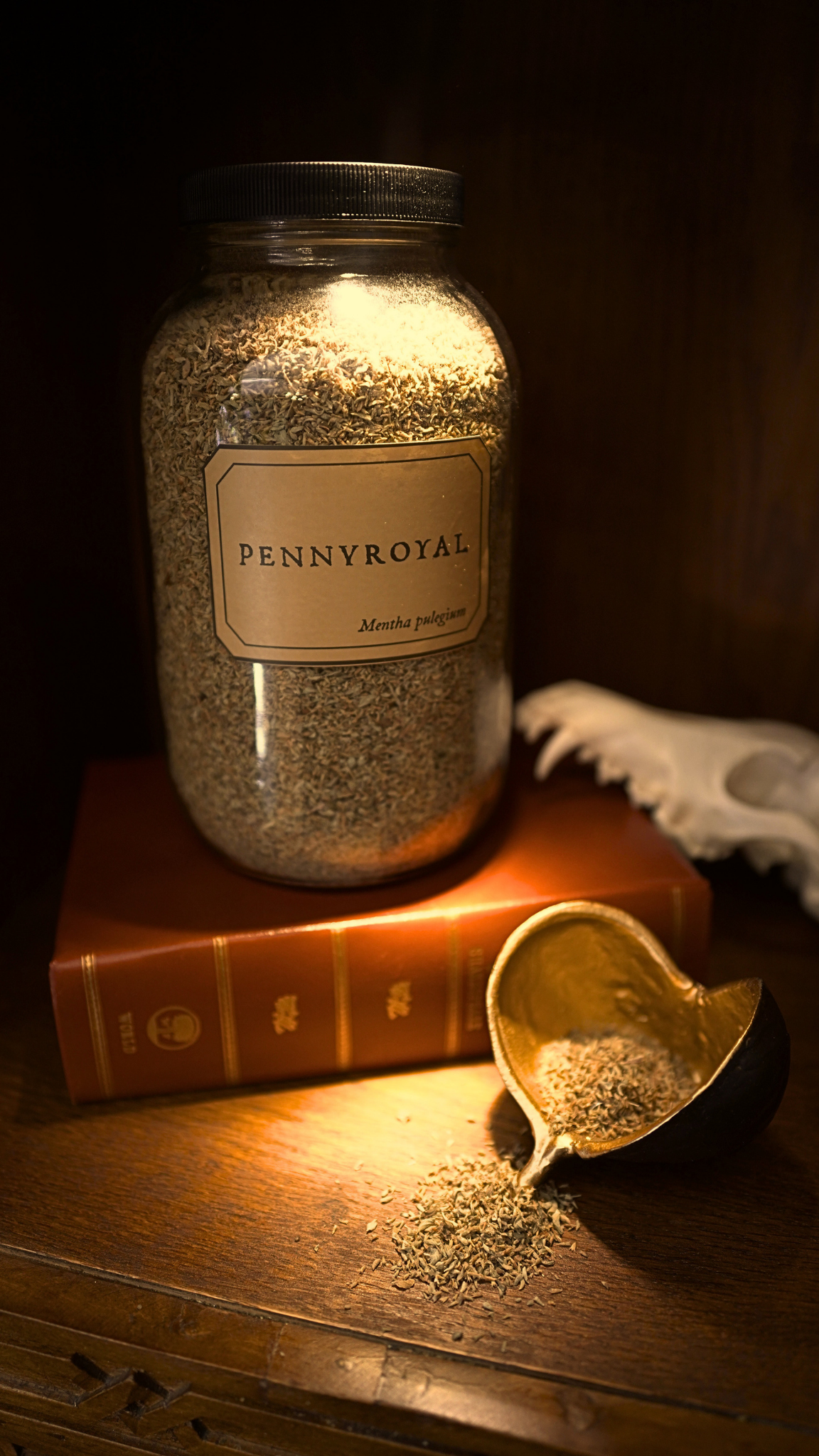 Pennyroyal
