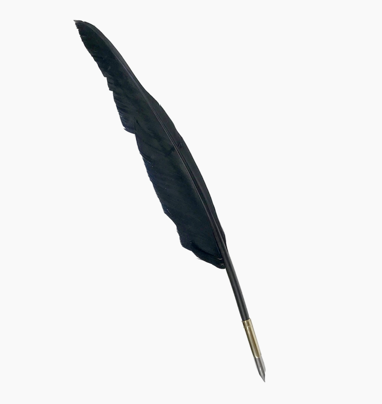 Black Goose Feather Quill & Brass Nib Holder