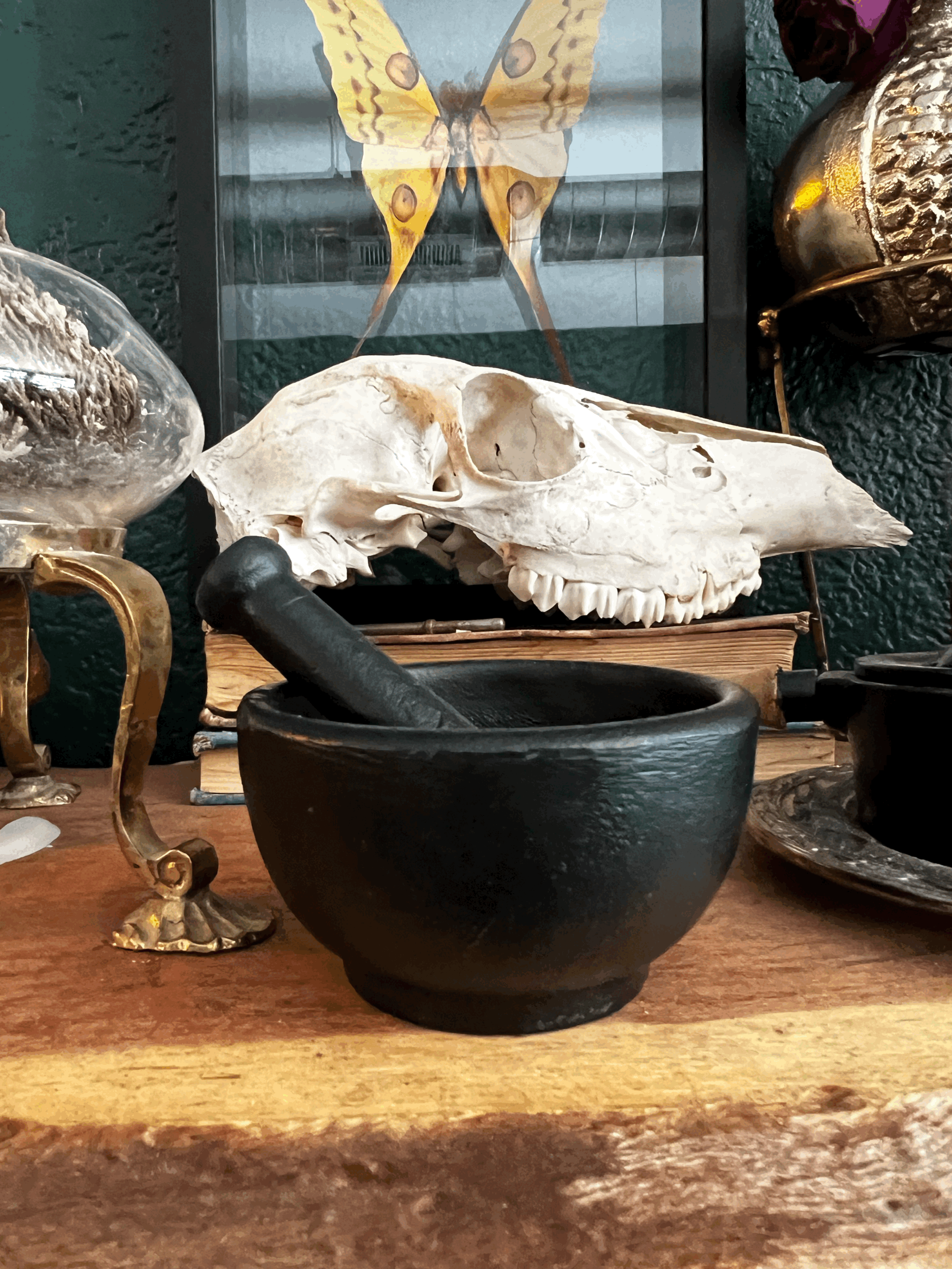 Cast Iron Mortar & Pestle (Medium)