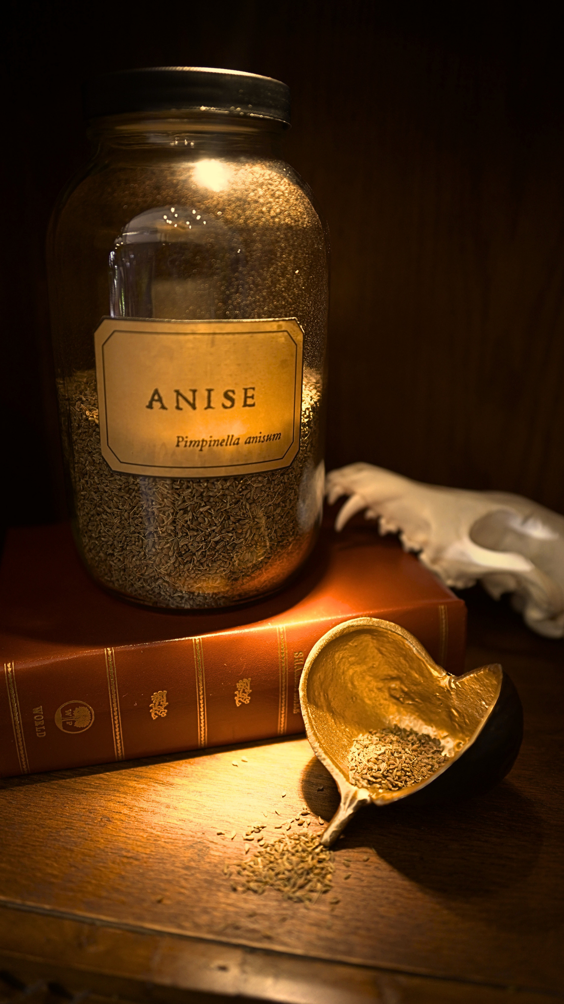 Anise Seed