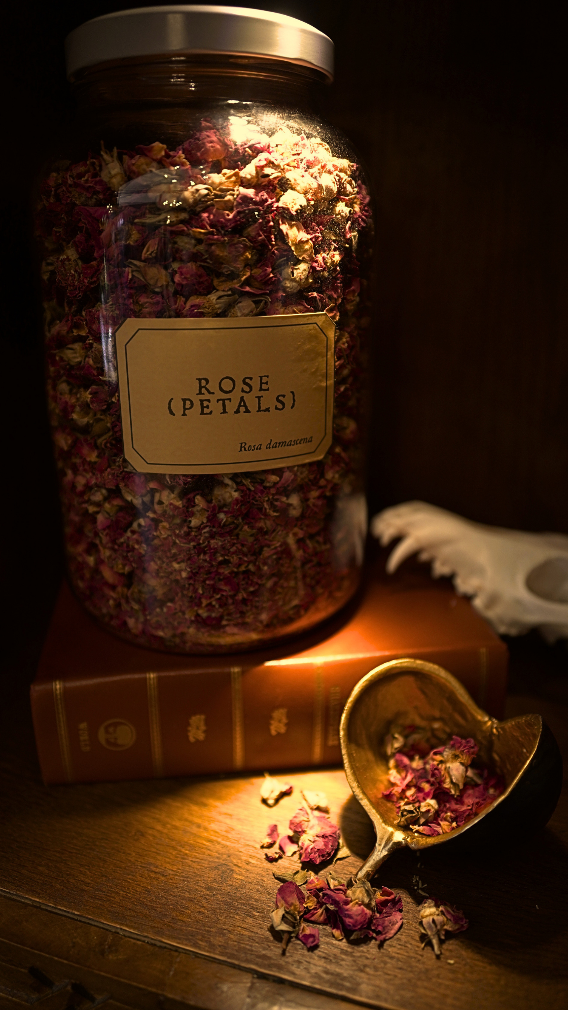 Red Rose Buds & Petals