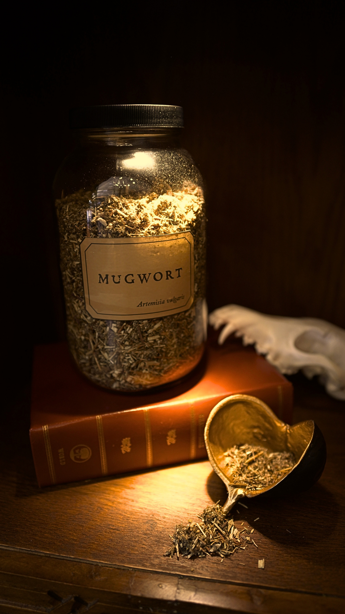 Mugwort