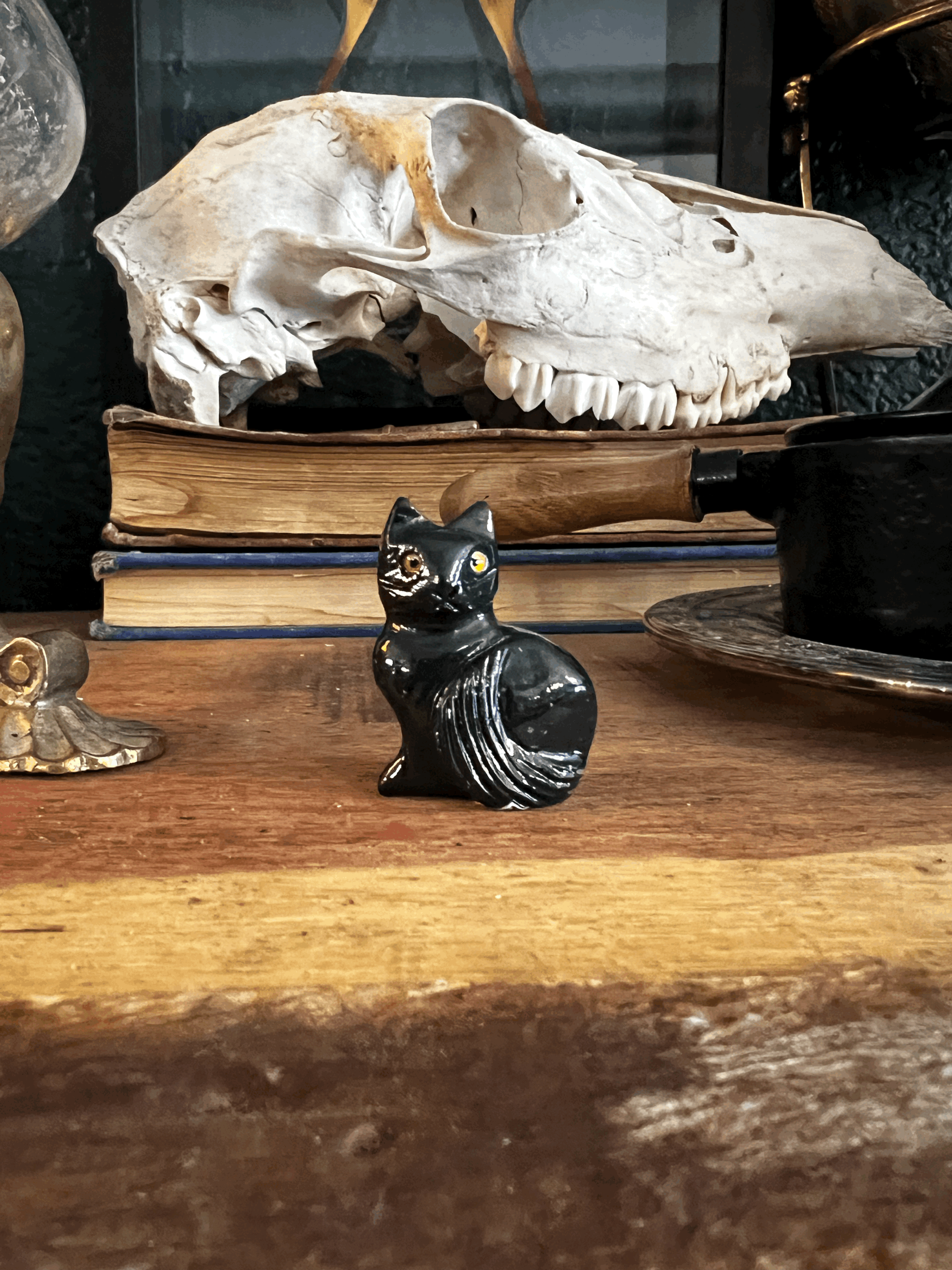 Small Cat - onyx