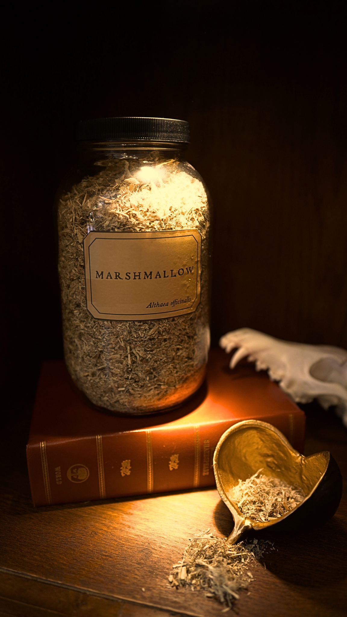 Marshmallow Root
