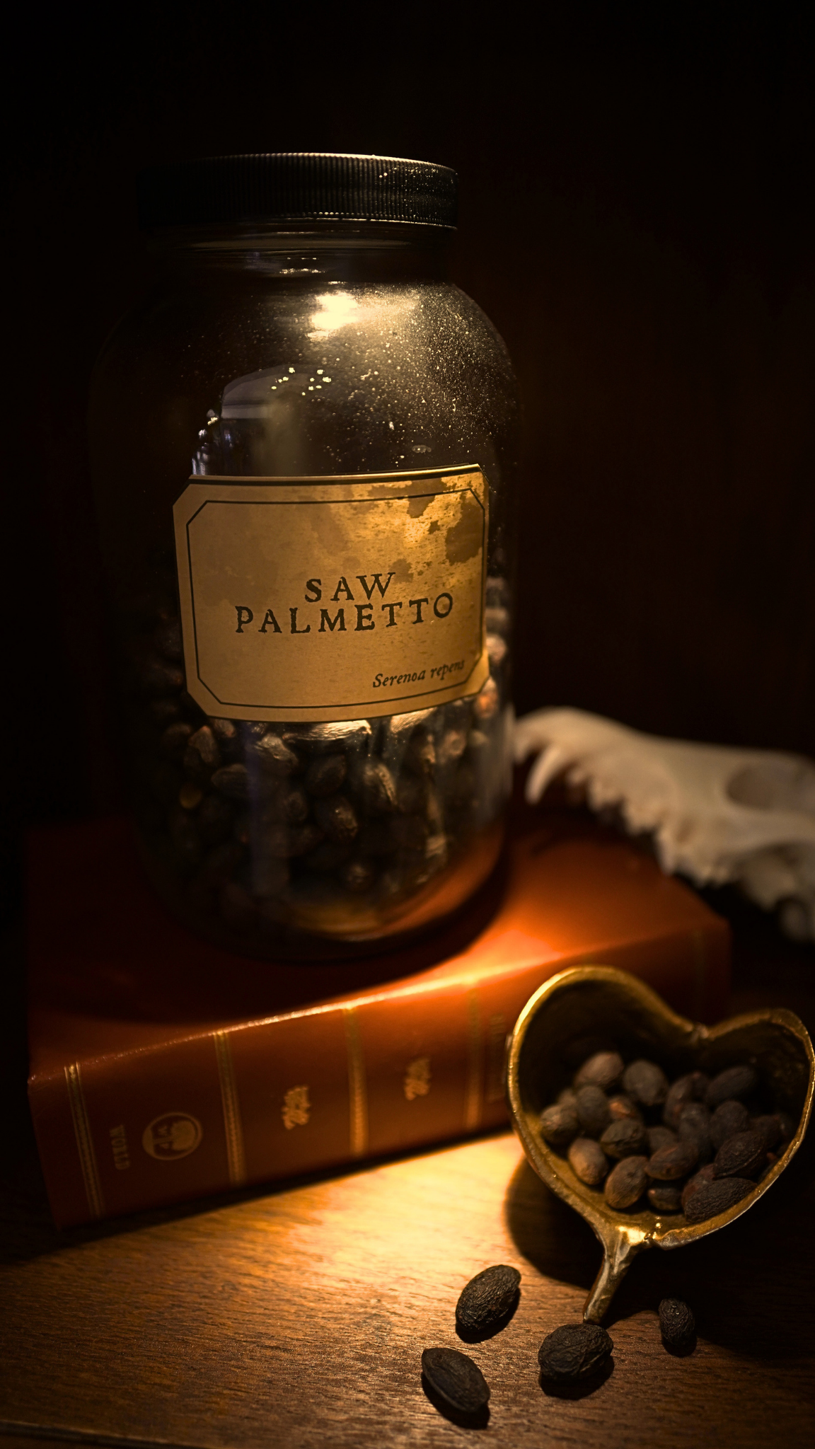 Saw Palmetto