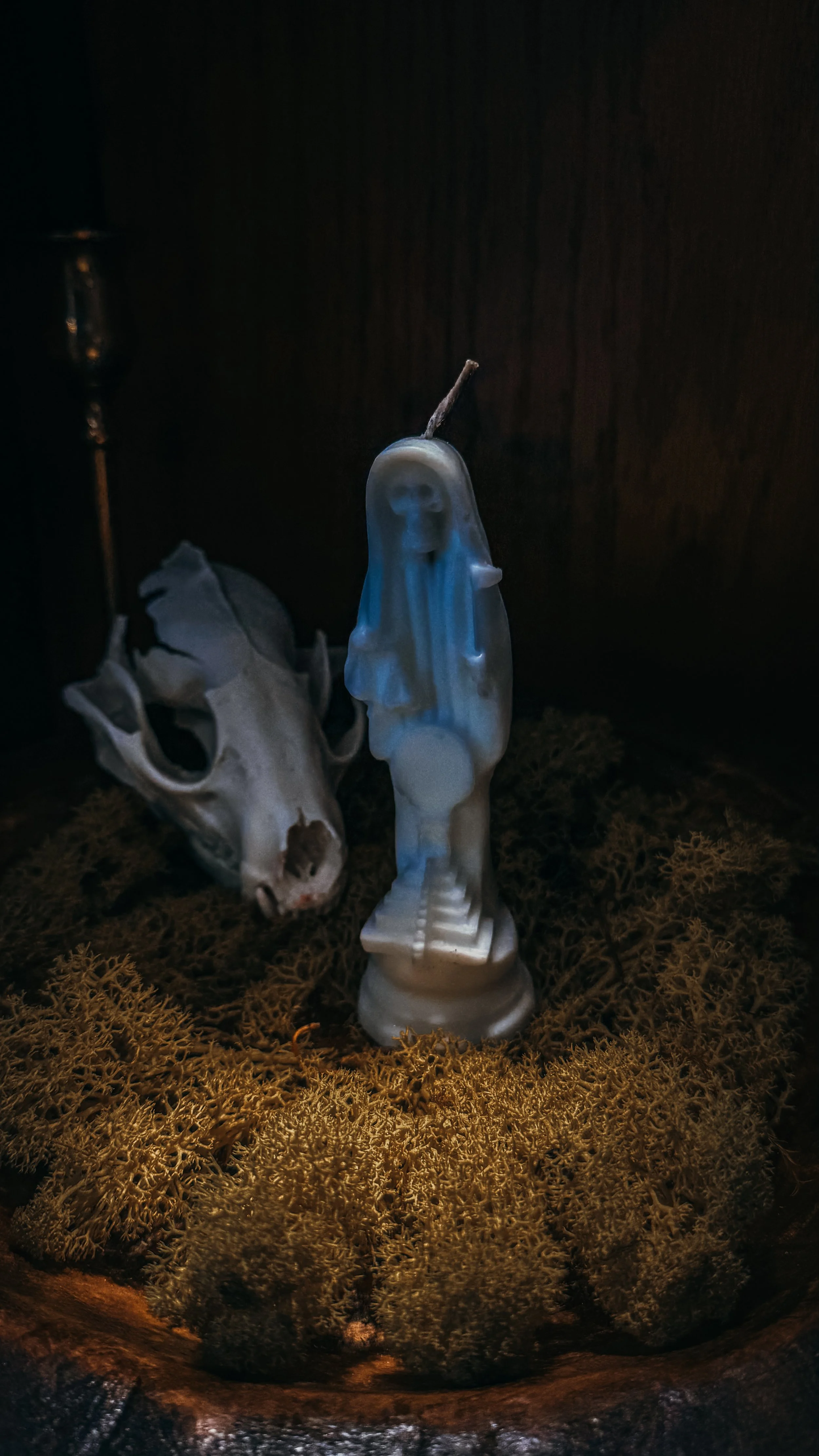 IMG_6861.jpg