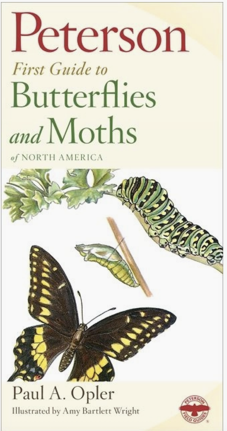 Peterson First Guide to Butterflies and Moths: Paul A. Opler