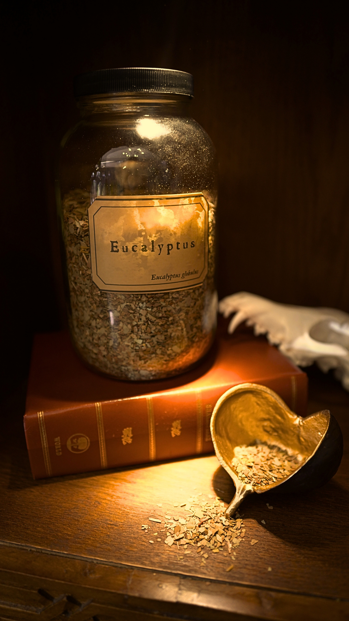 Eucalyptus