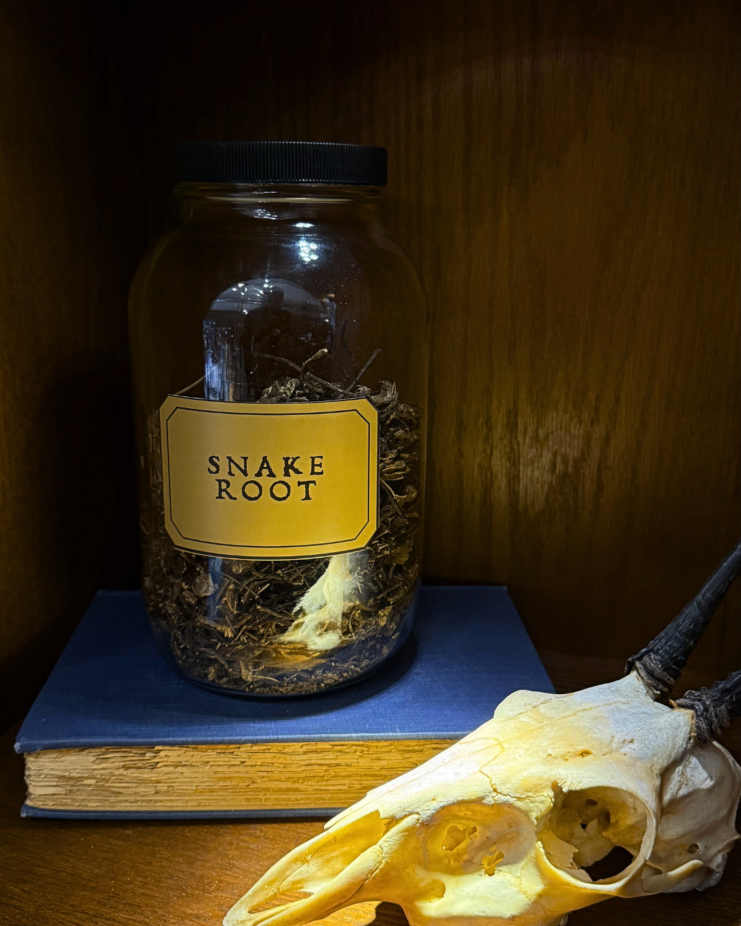 Snake Root