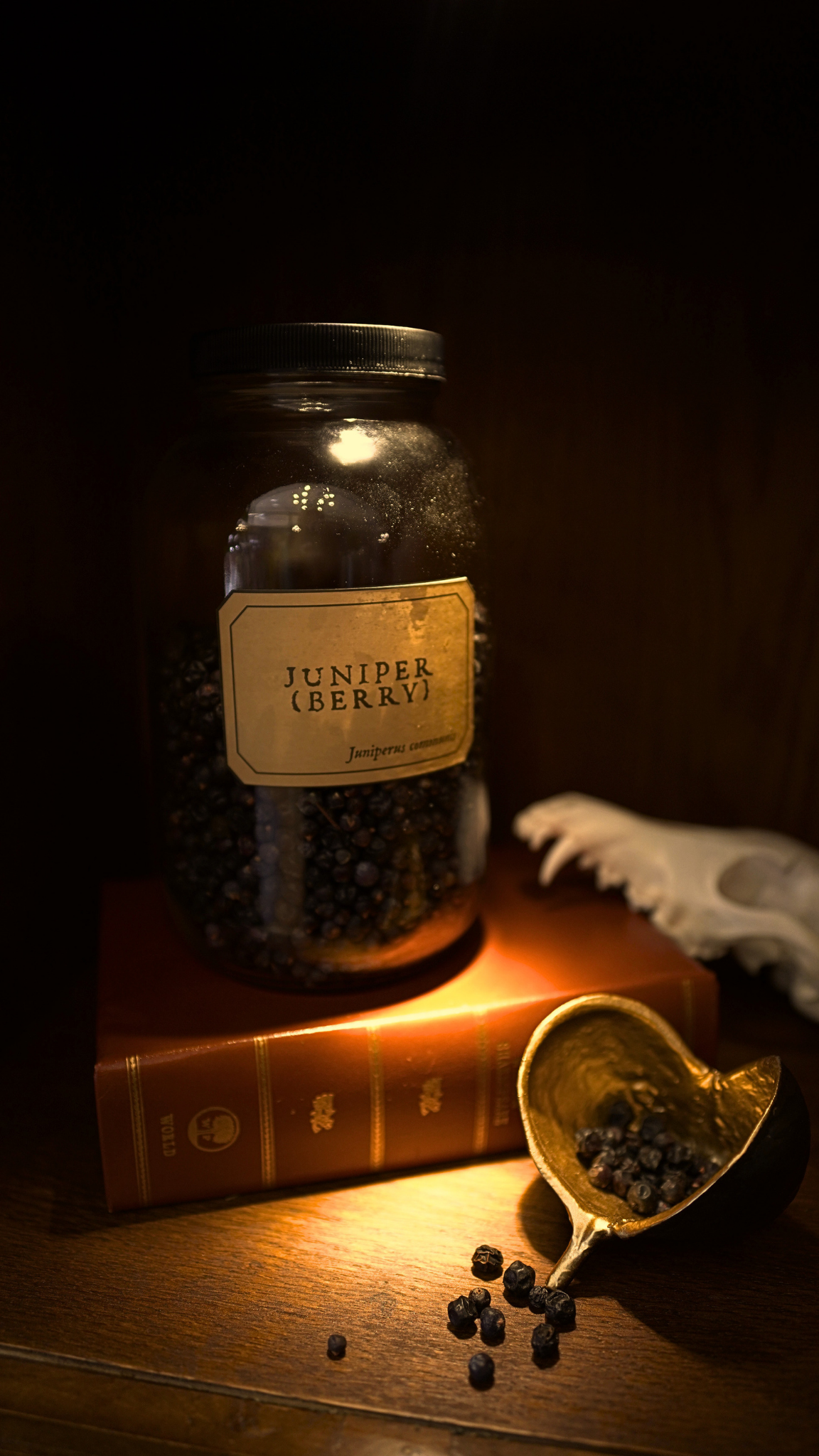 Juniper Berry