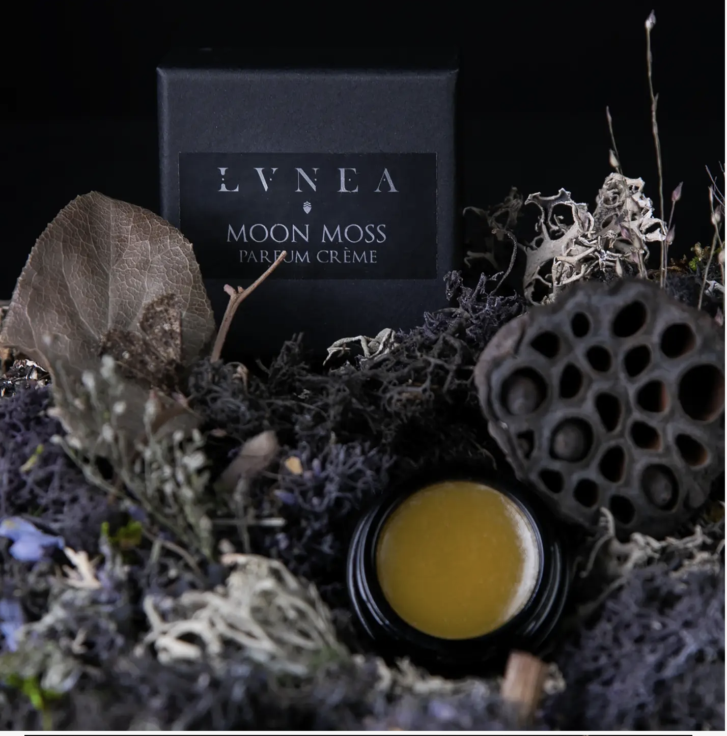 Moon Moss Solid Perfume by Lvnea
