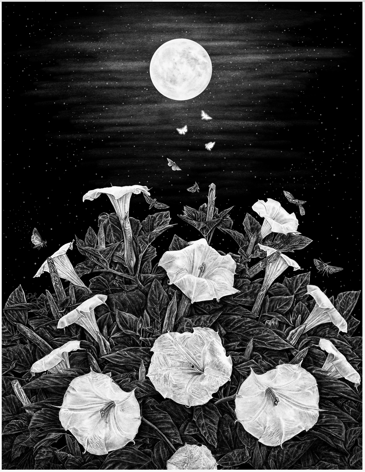 Datura Print
