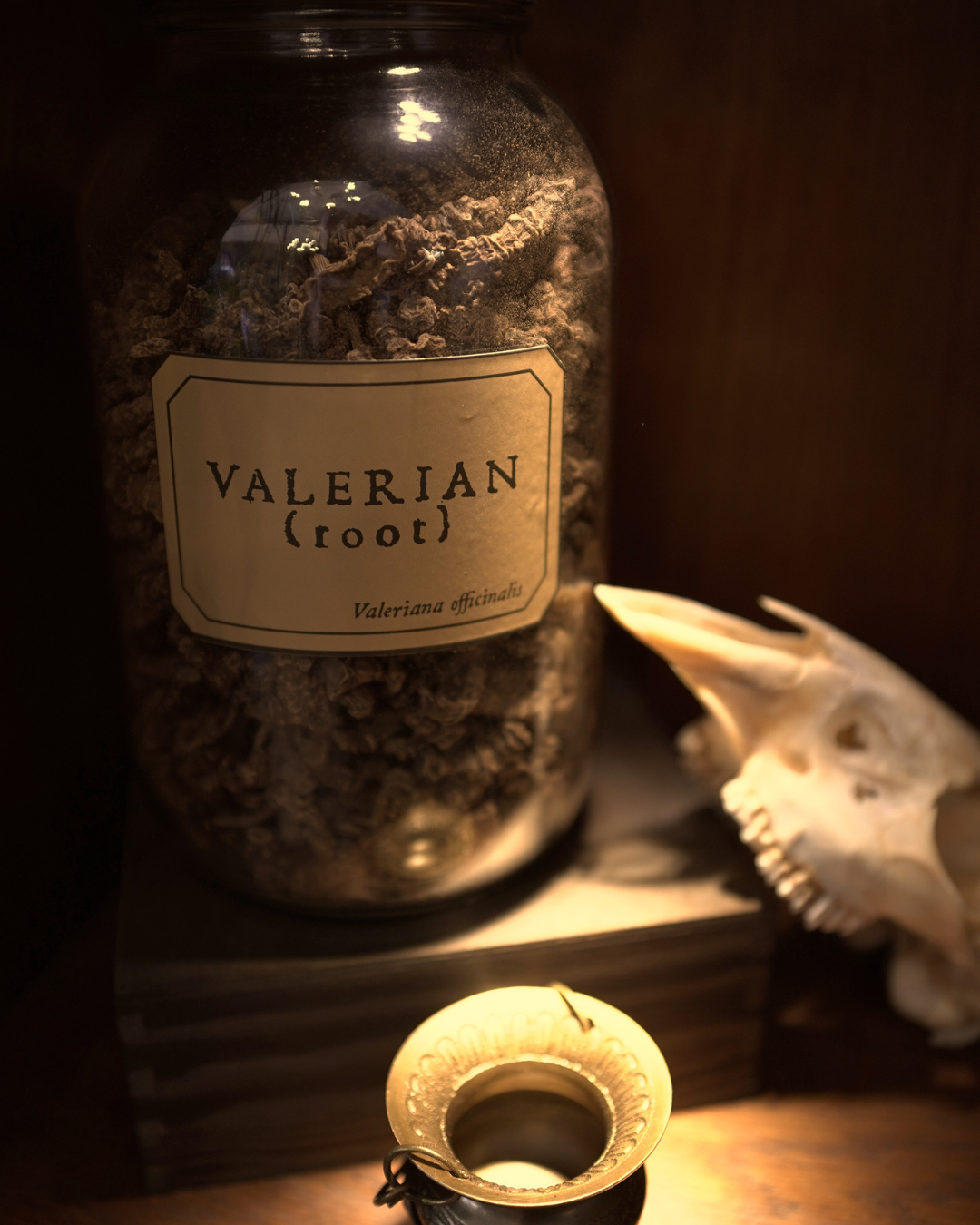 Valerian Root