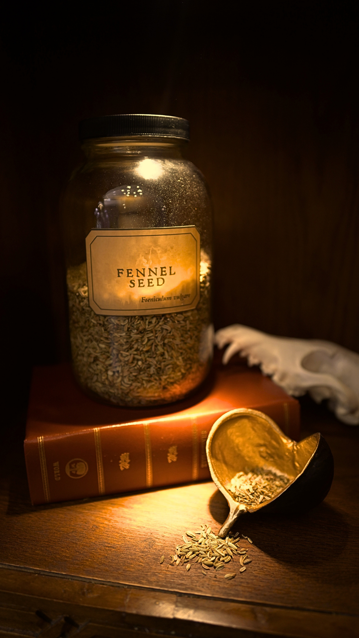 Fennel Seed