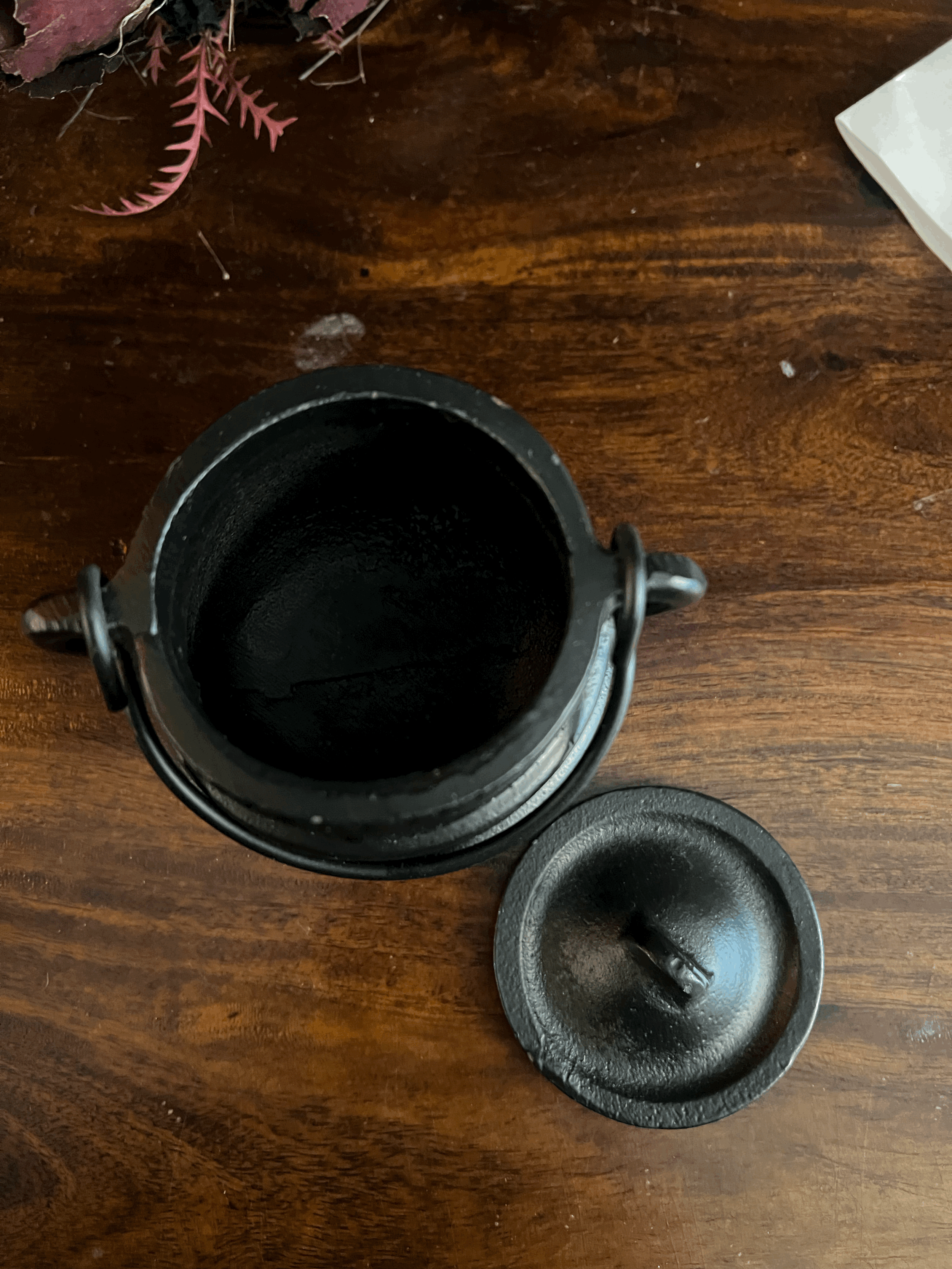 tempImagejWZ2w4.gif