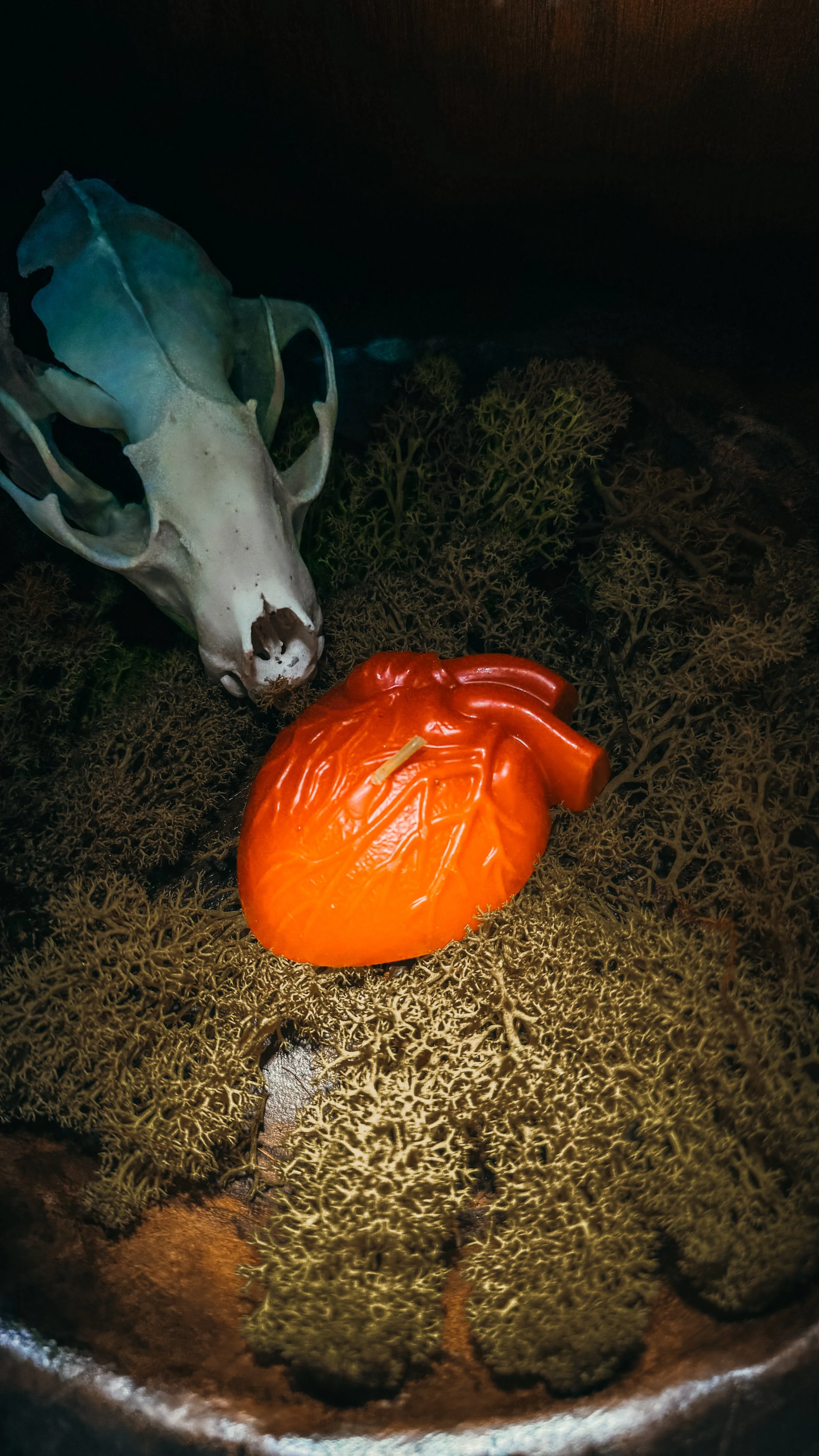 Anatomical Heart Figure Candle