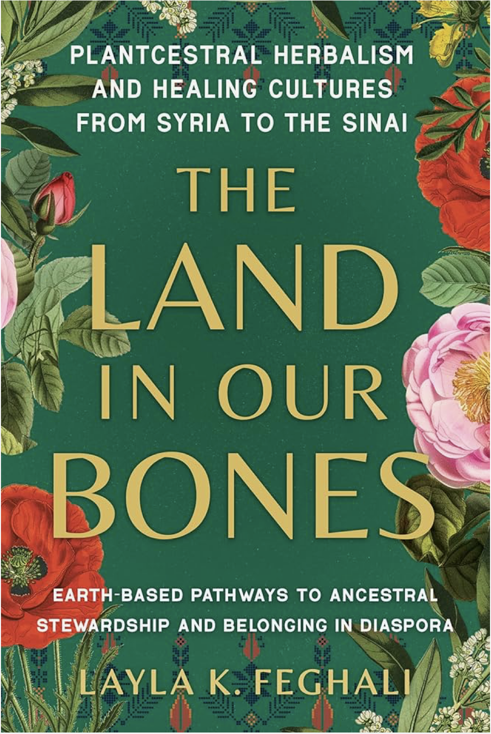 Land in Our Bones