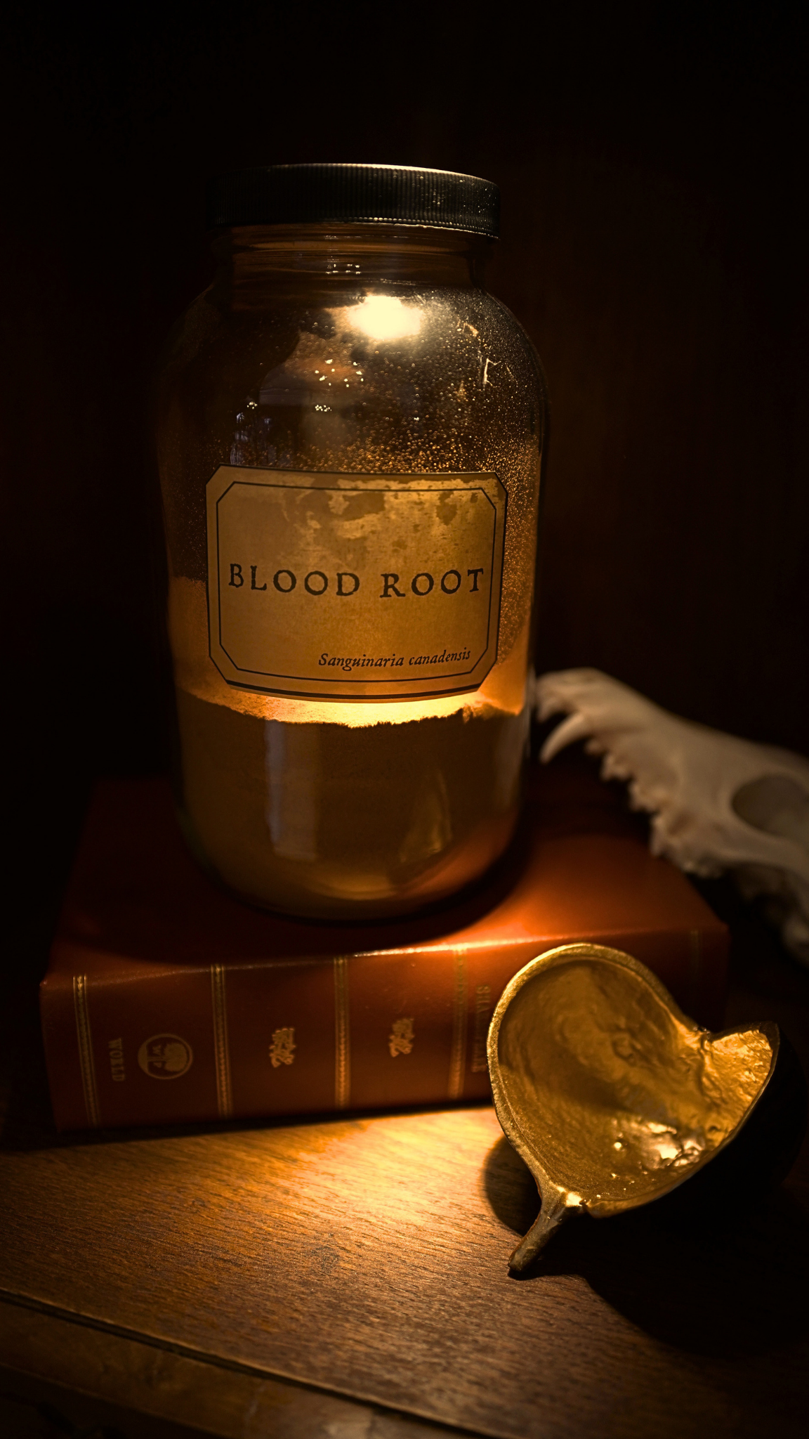 Blood Root