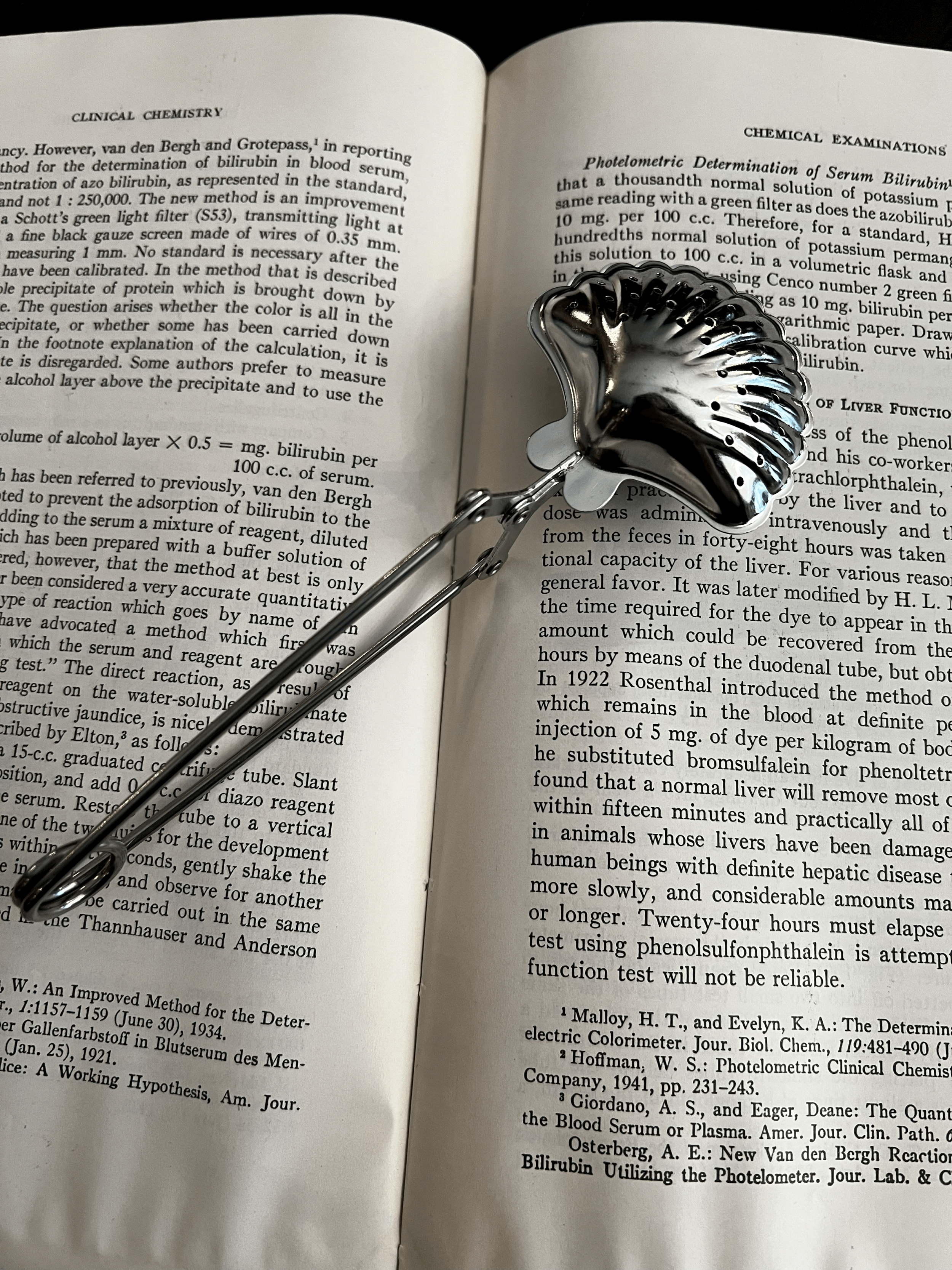 Silver Snap Shell Tea Infuser