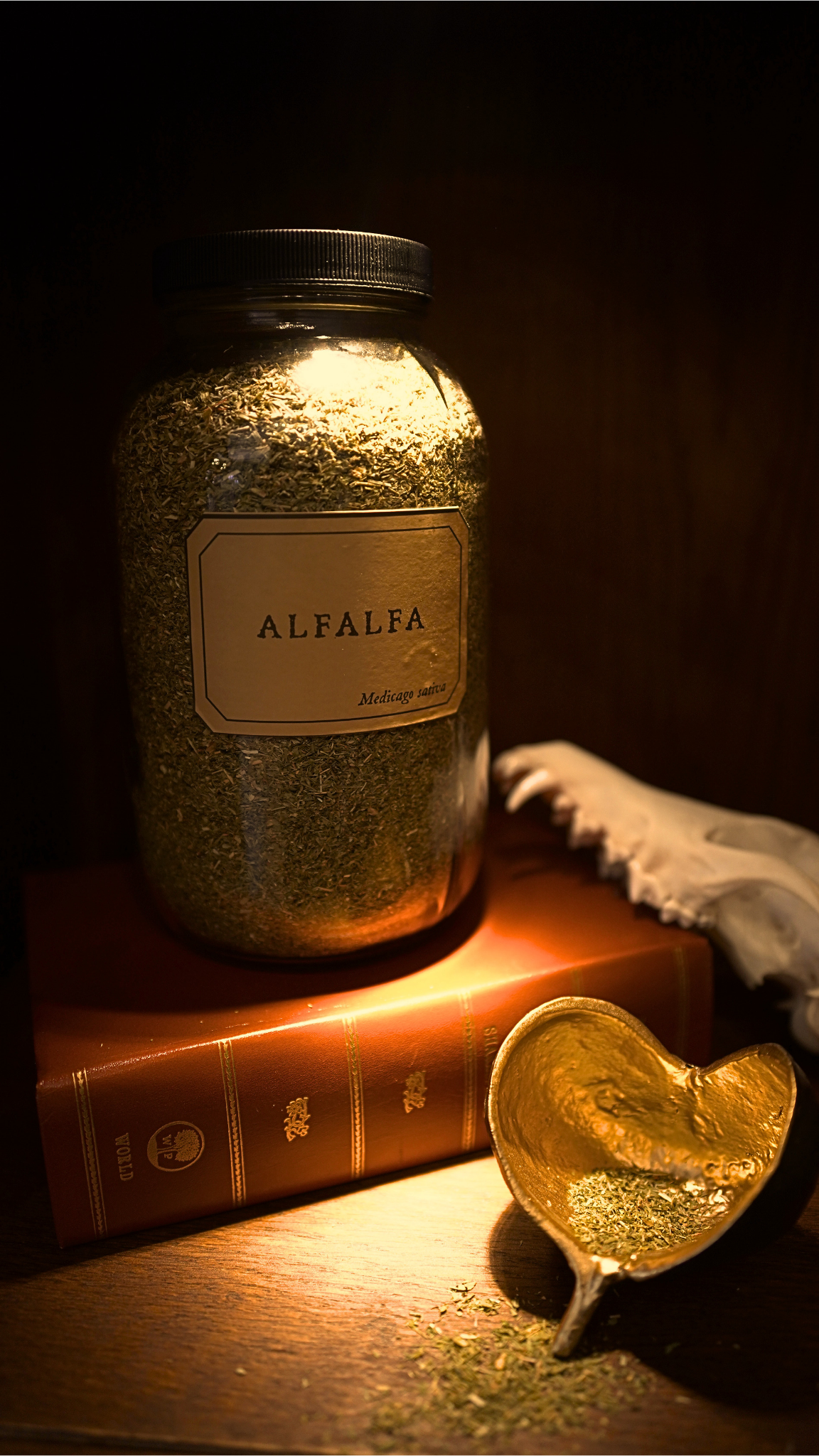 Alfalfa