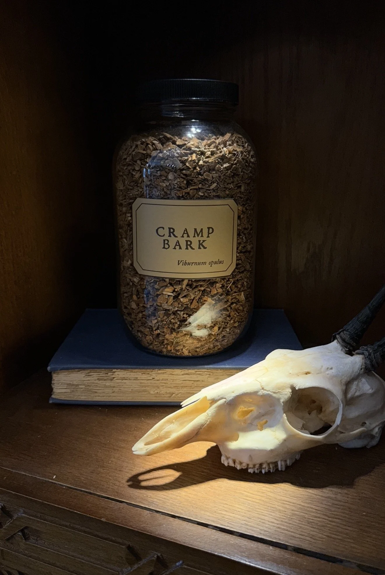 Cramp Bark
