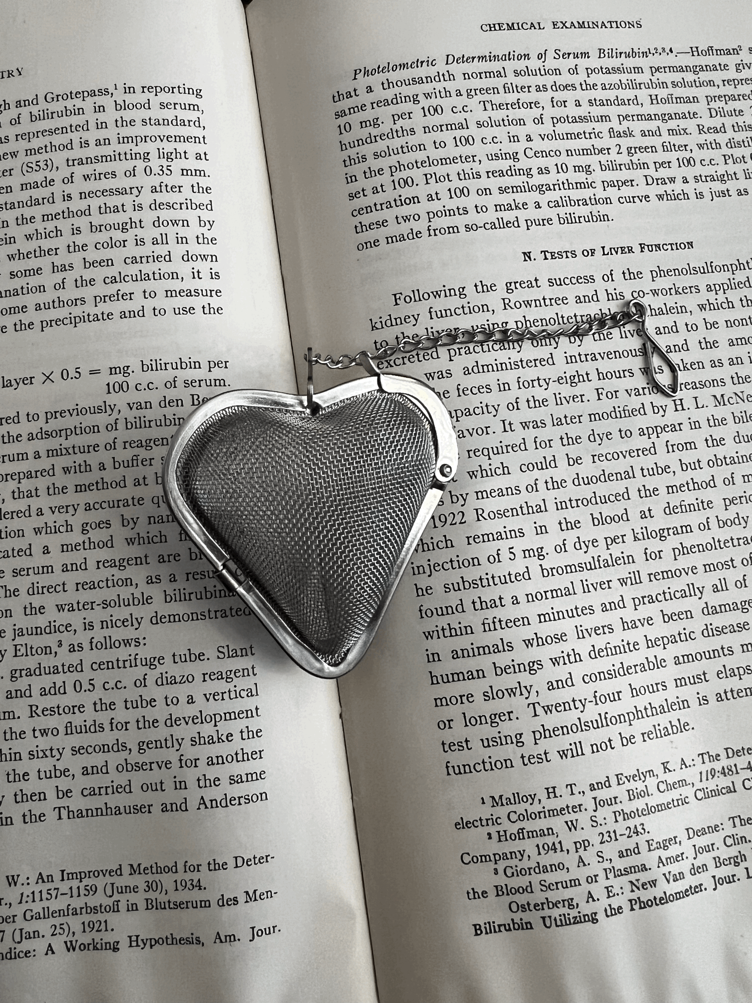 Heart-Shaped Mesh Tea Infuser