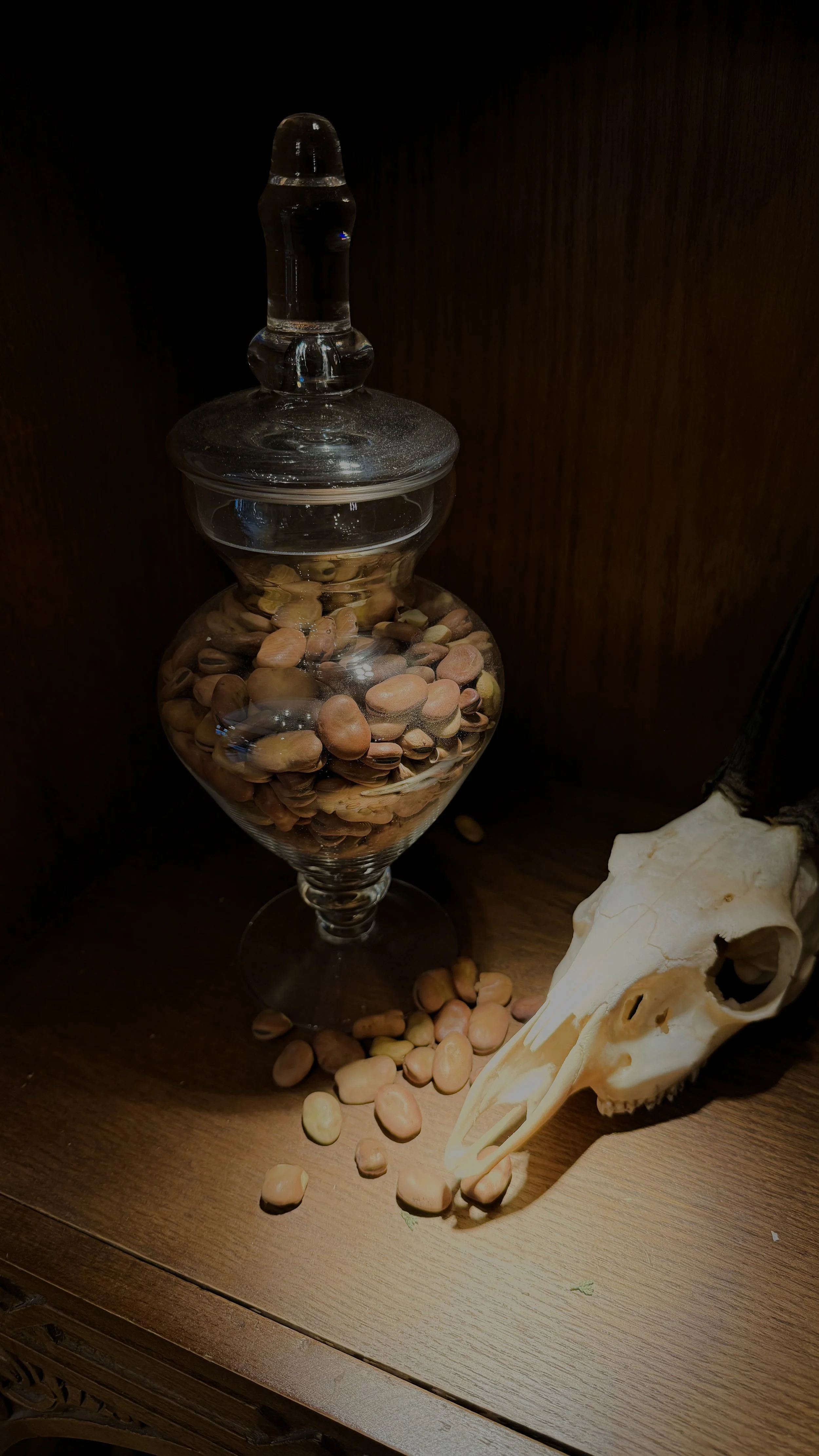 Tonka Beans