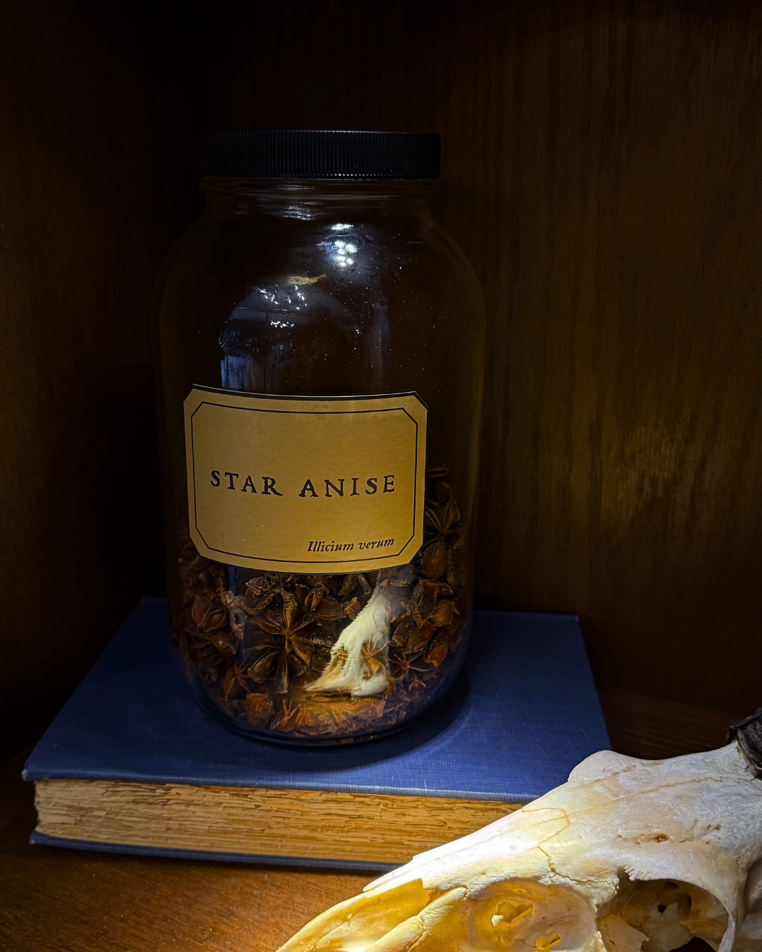Star Anise