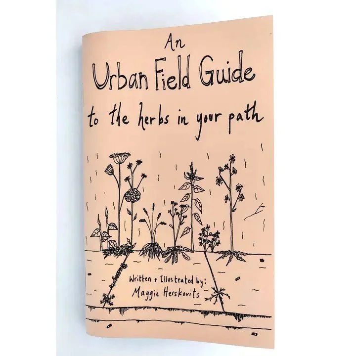 Urban Field Guide To the Herbs in Your Path Zine