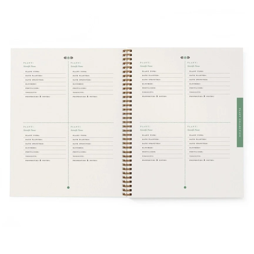 The Garden New 2.jpg