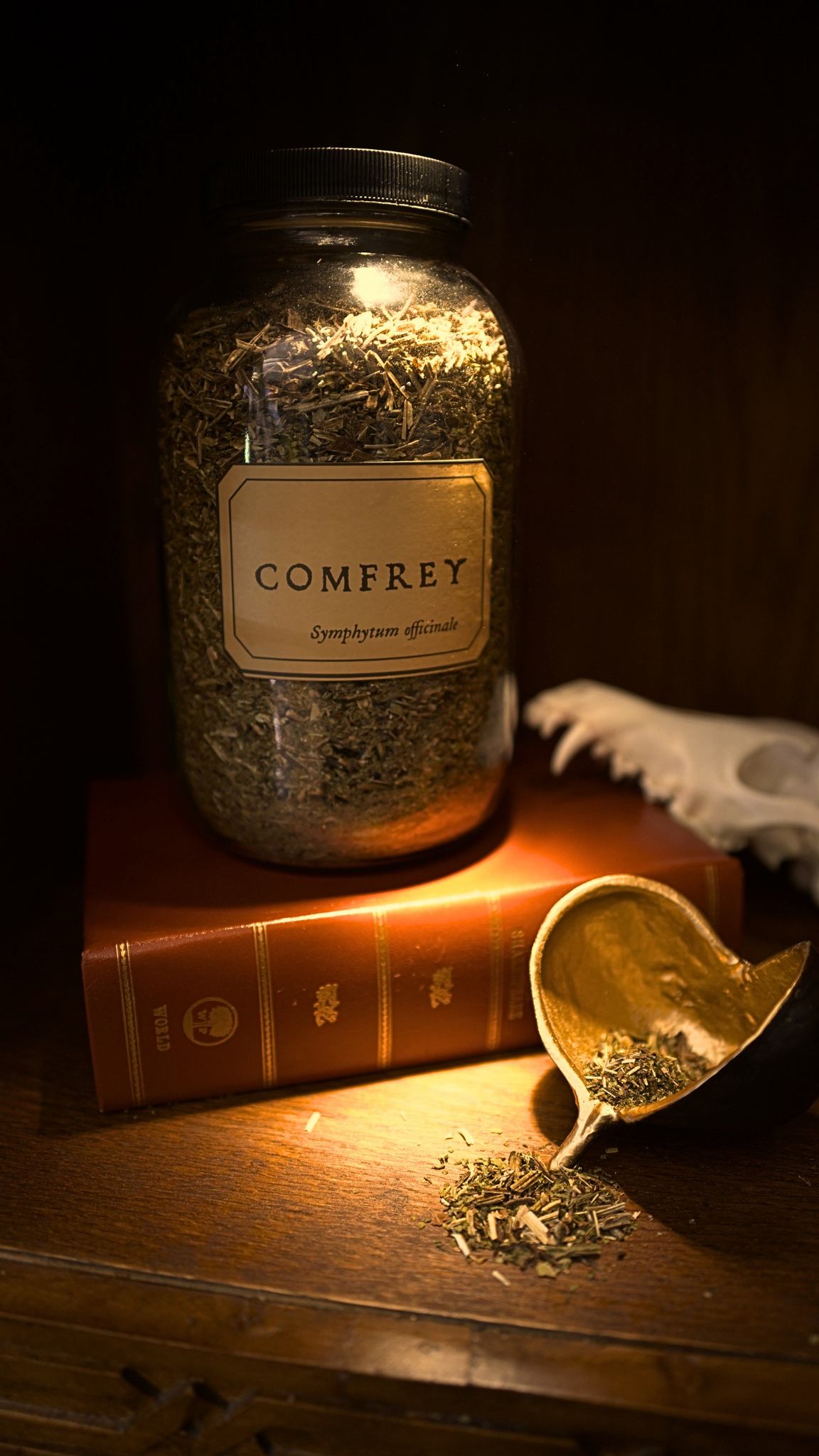 Comfrey Leaf
