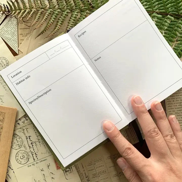 Green Foraging A6 Field Journal 2.jpg