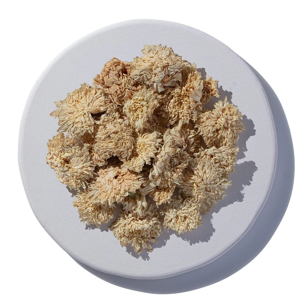 Chrysanthemum Flowers