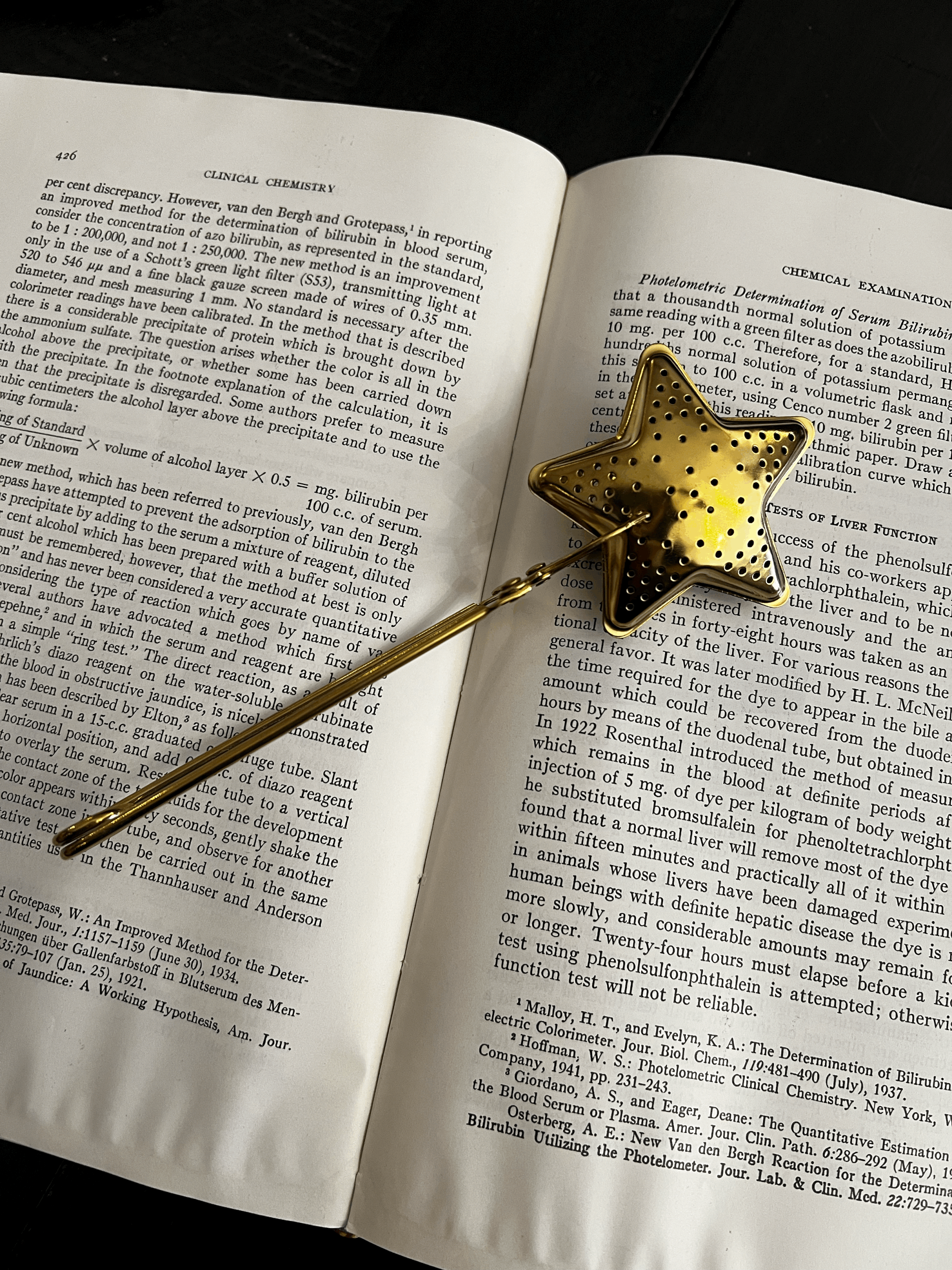 Gold Snap Star Tea Infuser with Handle