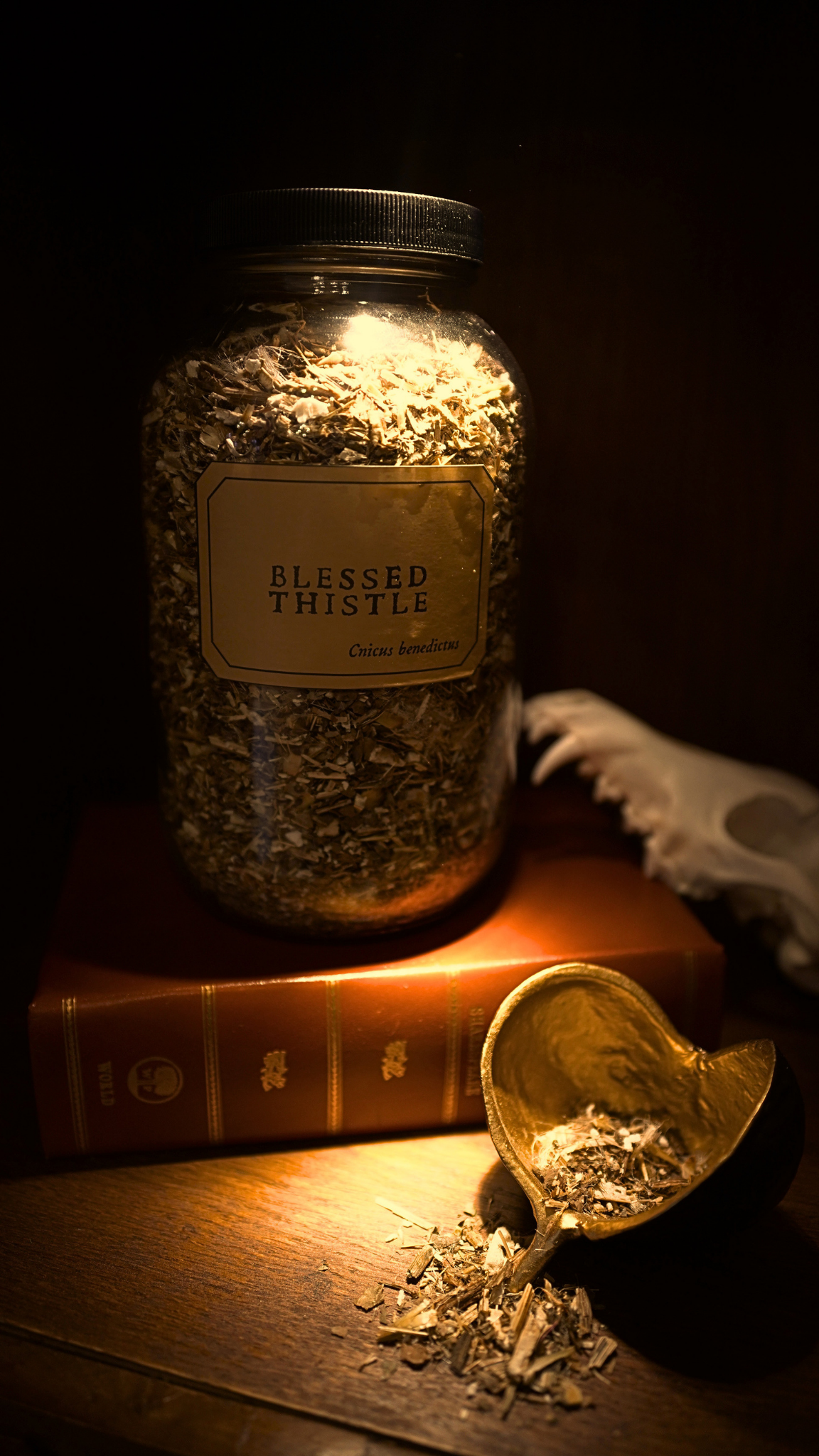 Blessed Thistle