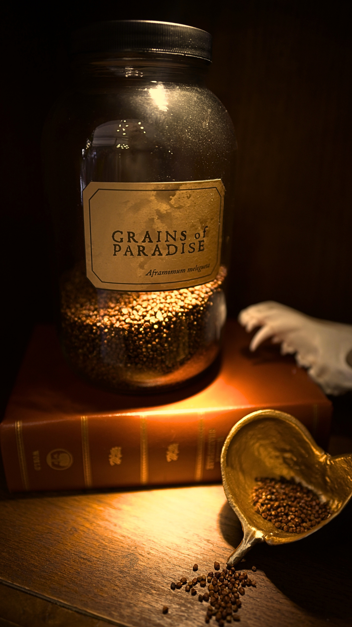 Alligator Peppers/Grains of Paradise/Guinea Peppers