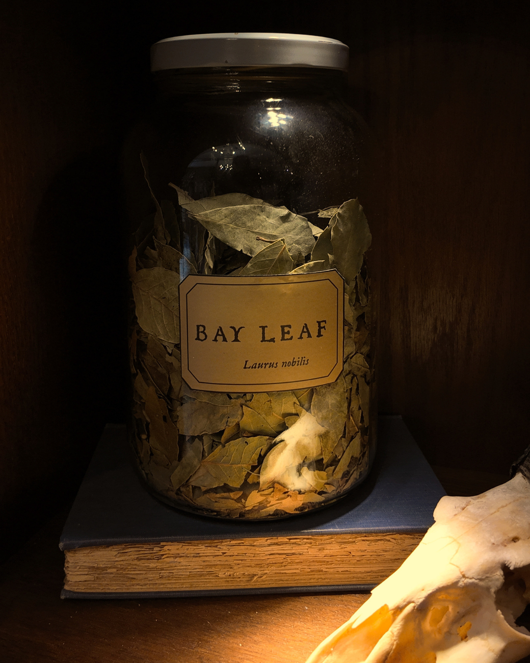 Bay Leaf, Whole