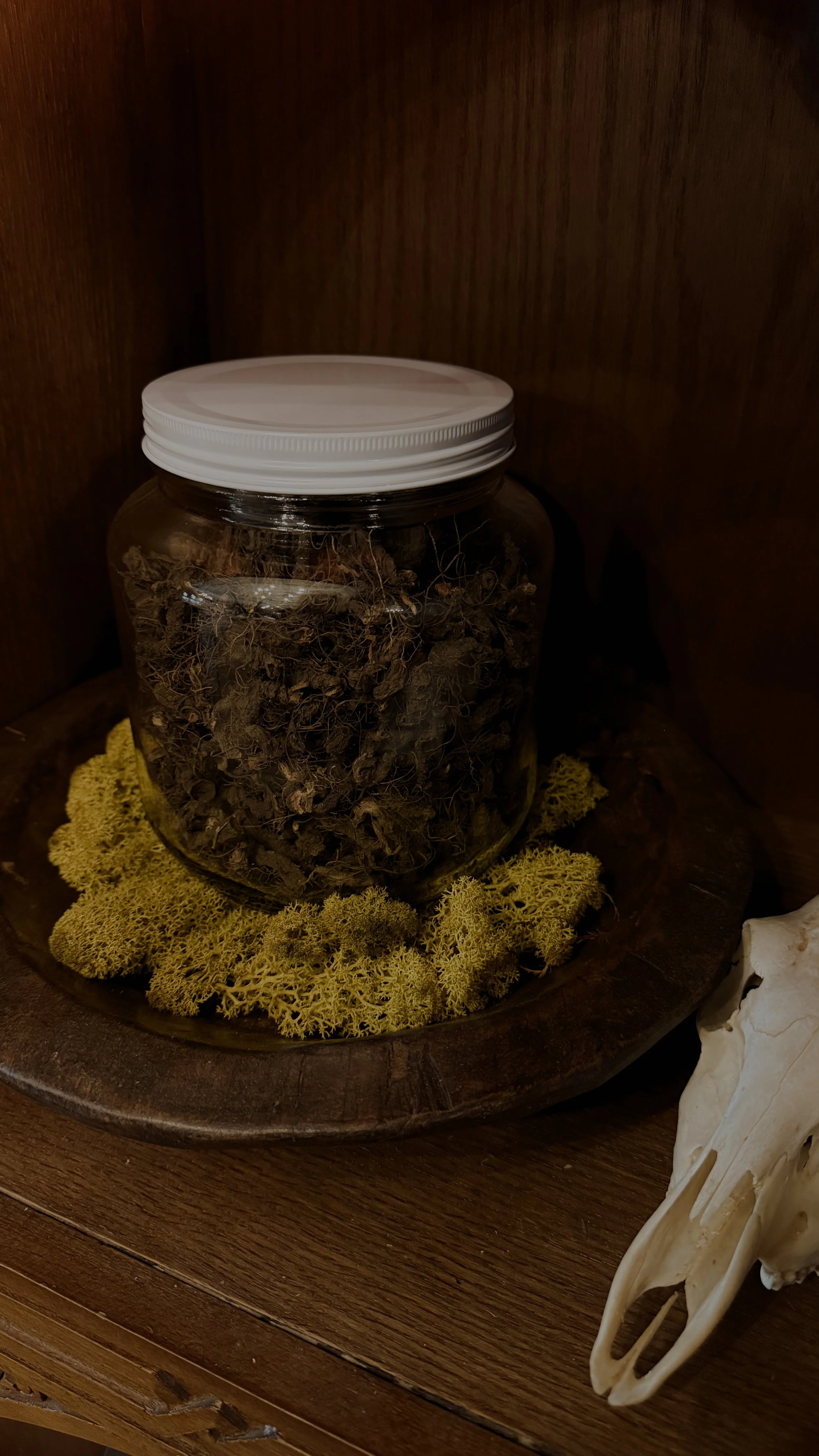 Bloodroot (Whole)